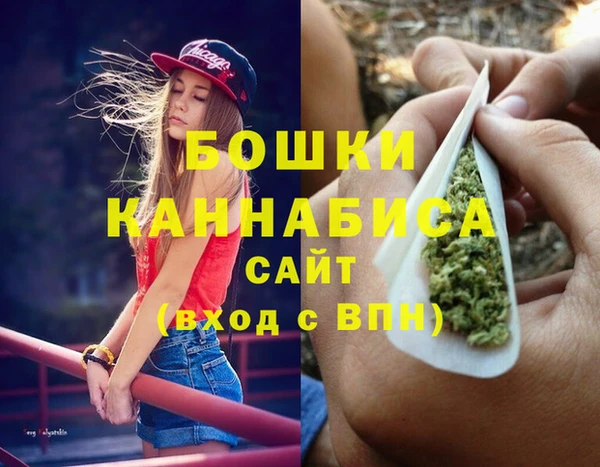 индика Красноперекопск
