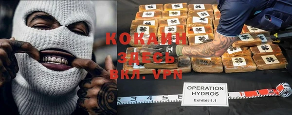 индика Красноперекопск